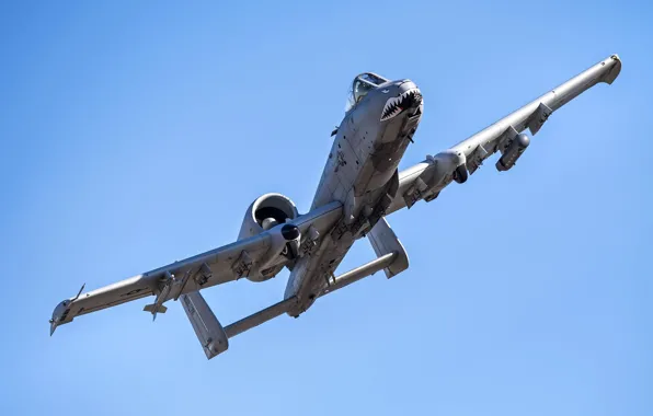 Attack, A-10, UNITED STATES AIR FORCE, Thunderbolt II, Fairchild Republic, Warthog, American single twin-engine