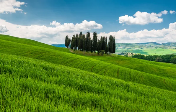 Grass, trees, mountains, hills, Italy, Tuscany