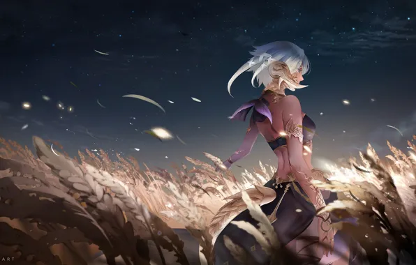 Girl, Field, The game, Girl, Art, Night, Spikelets, Illustration