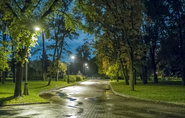 Picture autumn, lights, Park, the evening, Saint Petersburg
