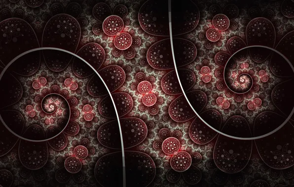 Pattern, color, texture, arc, fractal