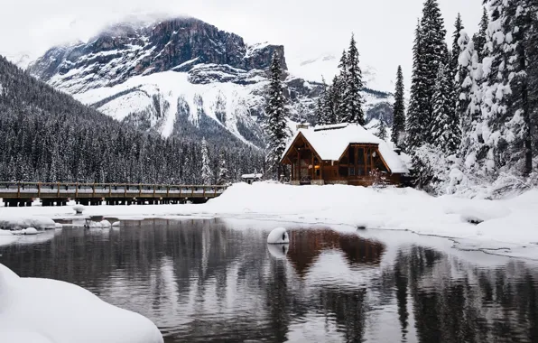 Winter, forest, snow, trees, mountains, lake, house, hut
