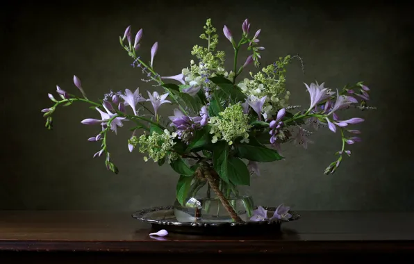 Wallpaper bouquet, hydrangea, host for mobile and desktop, section