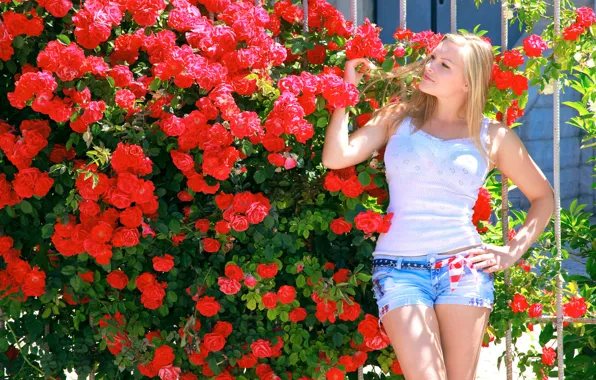 Summer, girl, the sun, flowers, pose, model, shorts, Bush