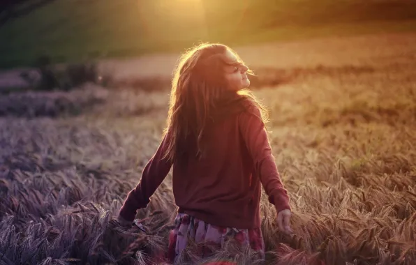 Wheat, field, girl, light