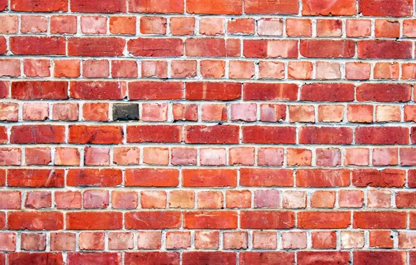 Wall, brick, texture, masonry