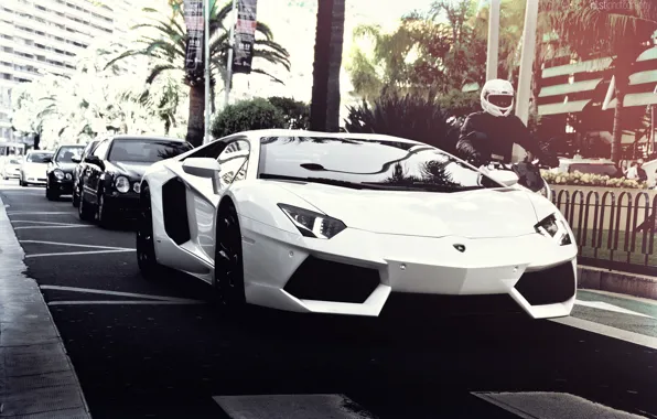 Picture road, white, summer, the sun, the city, palm trees, street, Lamborghini