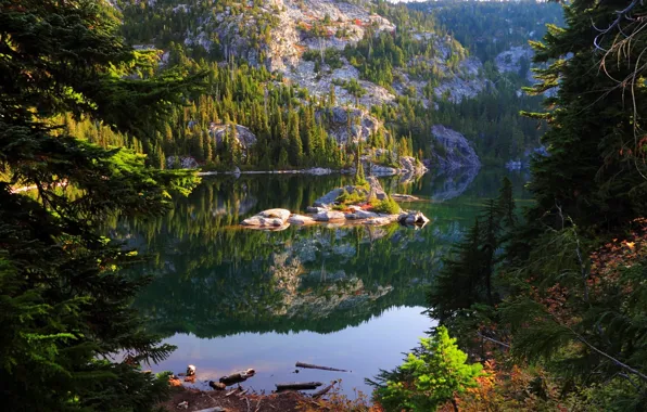 Water, nature, lake, photo, USA, Tuck