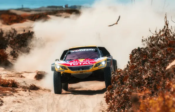 Sand, Auto, Dust, Sport, Machine, Speed, Race, Peugeot