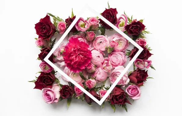 Flowers, roses, red, pink, pink, flowers, peonies, roses