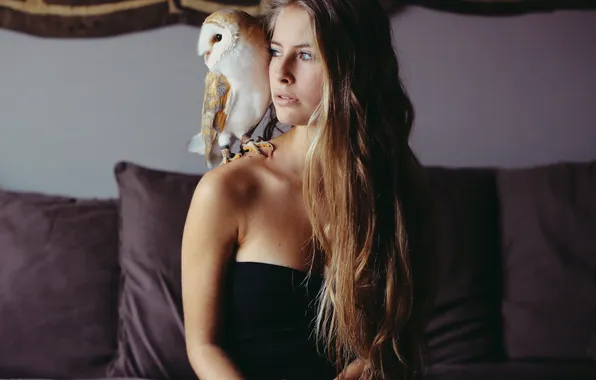 Girl, background, owl