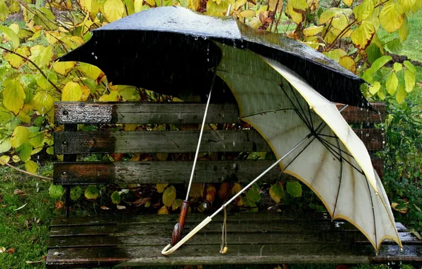 Picture water, bench, rain, umbrella, leaves