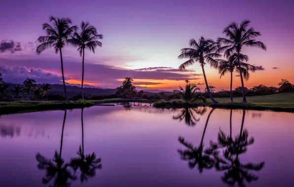 Water, sunset, tropics, reflection, palm trees, Puerto Rico, Puerto Rico, Fajardo