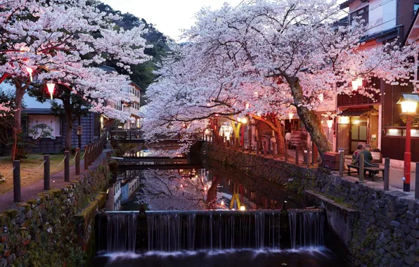 Sakura, Channel, Lanterns, Cascades