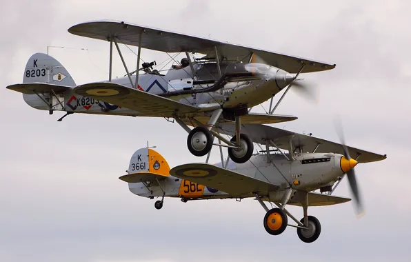 Aircraft, Nimrod, Hawker Demon