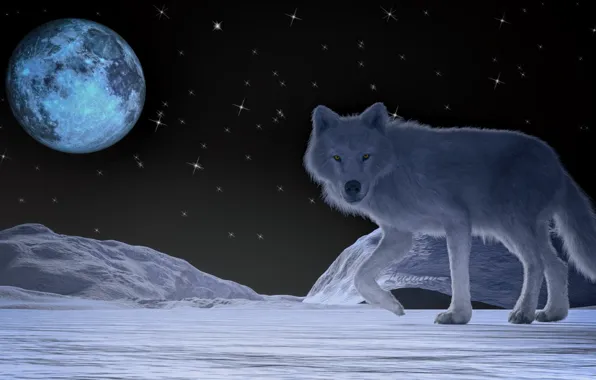 Picture night, the moon, wolf