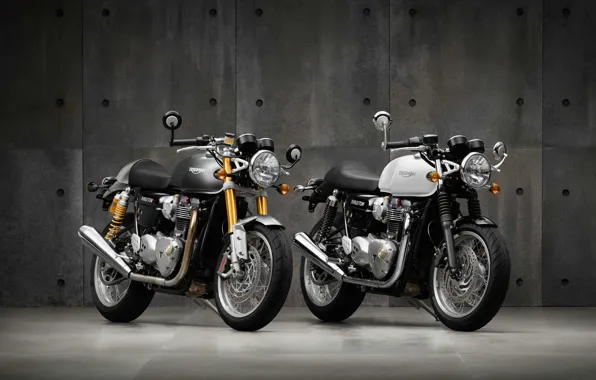 Moto, bike, classic, british, Triumph, 2016, Thruxton