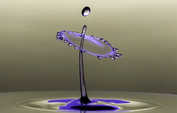 Water, squirt, drop