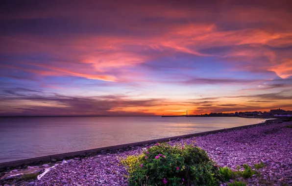 Picture sea, sunset, shore