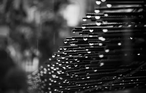 Drops, photo, rain, black and white, metal, fittings