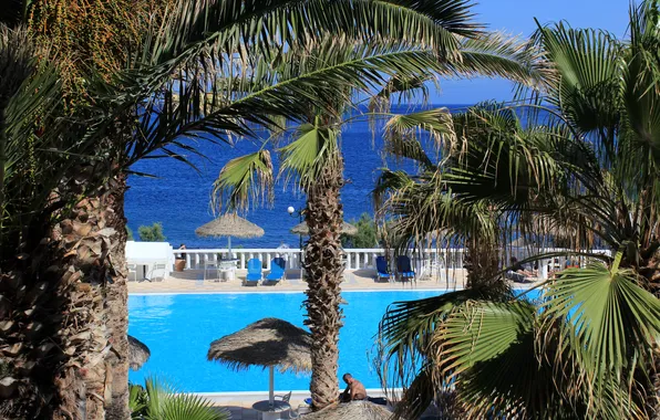 Picture sea, palm trees, pool, Greece, resort, Kamari