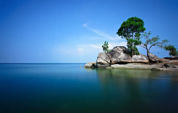 Picture sea, trees, stones, island