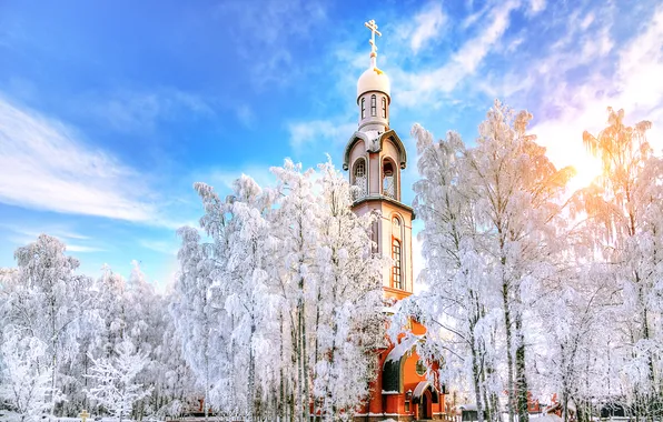 Picture winter, Saint Petersburg, temple, Russia