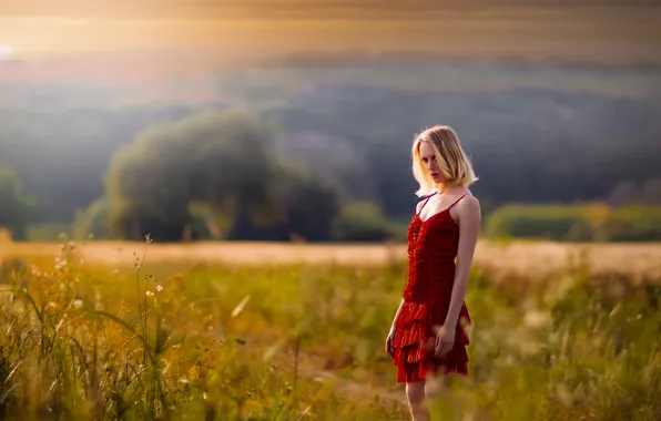 Field, sunset, dress, in red