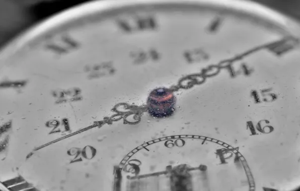 Macro, time, watch