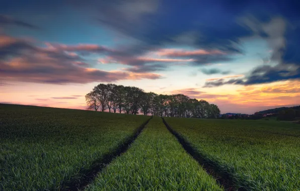 Download wallpaper slope, trees, track, greens, field, the sky, clouds ...