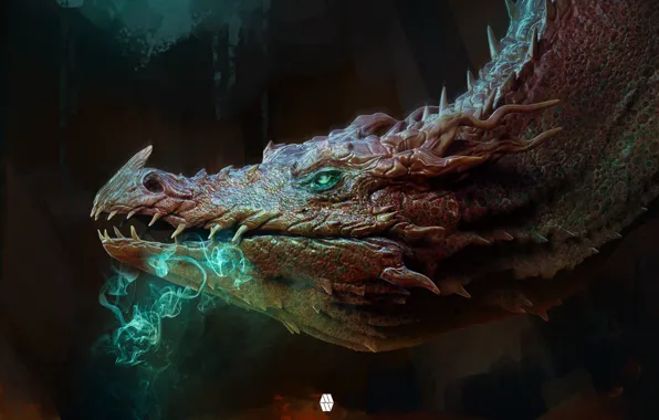 dragon face wallpaper