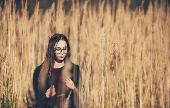 Wallpaper Girl, Field, Glasses For Mobile And Desktop, Section девушки 