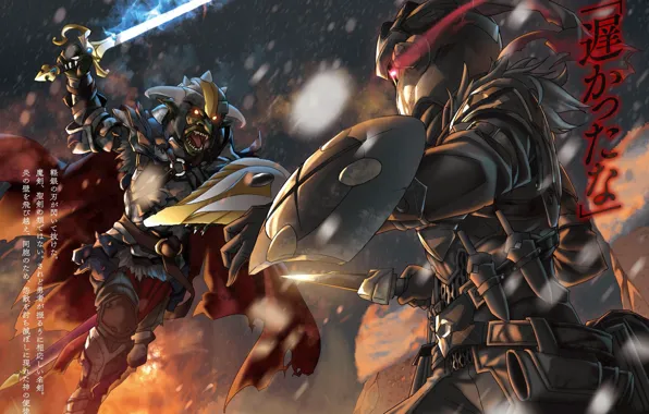 Knight, Goblin, Goblin Slayer, The killer of goblins