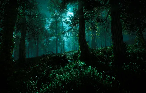 The sky, Trees, Horizon, Sony Computer Entertainment, Guerrilla Games, Horizon: Zero Dawn, Horizon Zero Dawn