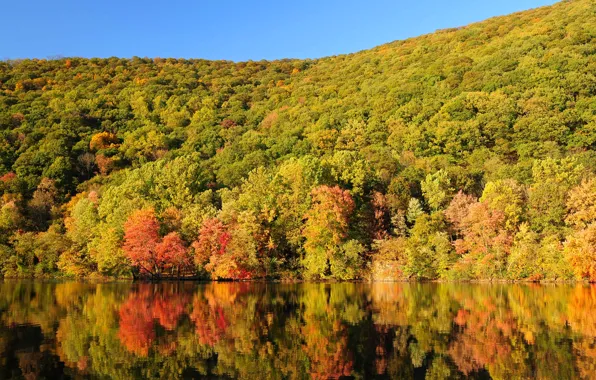 Picture autumn, forest, the sky, trees, mountains, lake, slope