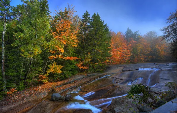 Autumn, forest, the sky, trees, river, stones, rocks