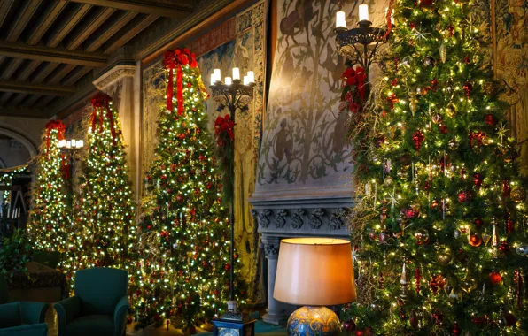 Holiday, tree, new year, lamp, elegant, embellished