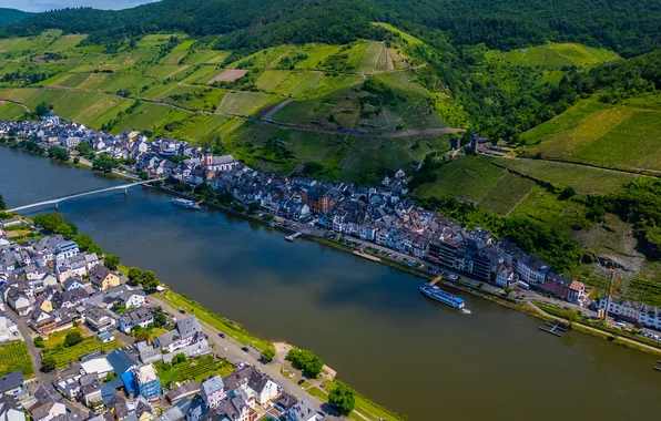 Picture river, Germany, Mosel