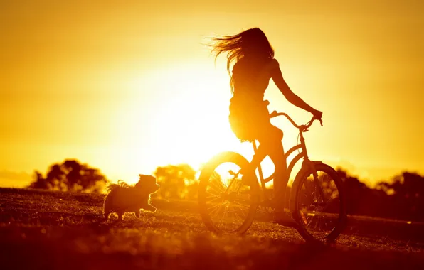 Picture girl, sunset, bike, mood, dog