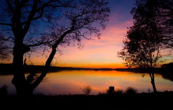 Trees, sunset, lake
