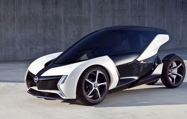 The concept, beautiful, Opel, bio.