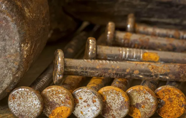 Macro, rust, nails