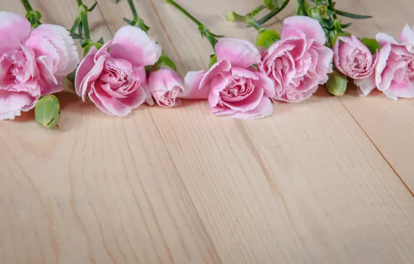 Flowers, pink, buds, wood, pink, flowers, clove