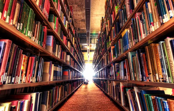 Wood, paper, books, library