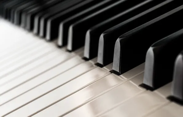 Macro, music, piano
