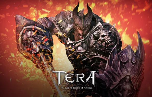 Picture flame, sword, armor, the demon, sparks, horns, shield, tera