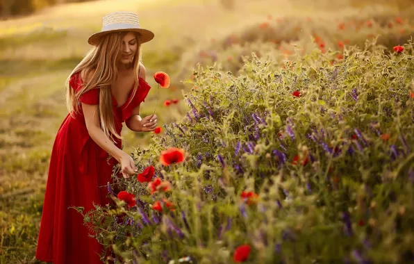 Picture girl, Maki, poppy field