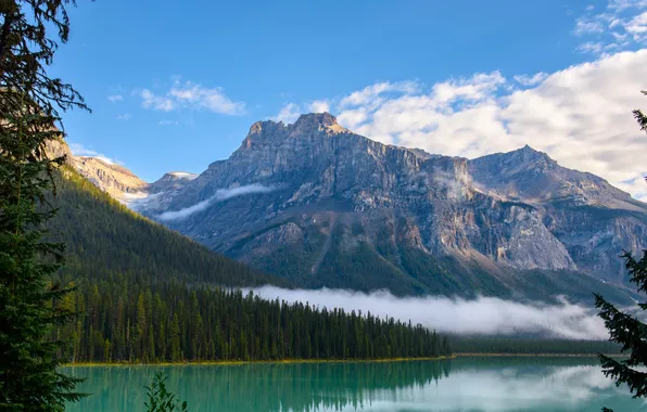 Forest, the sky, clouds, trees, mountains, nature, fog, lake