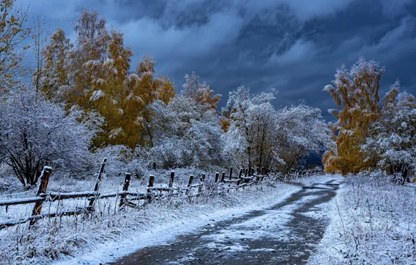 Picture road, autumn, snow, trees, the fence, Kazakhstan, Evgeny Drobotenko, Rudny Altai