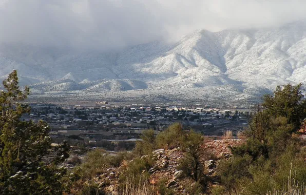 Forest, mountains, the city, hills